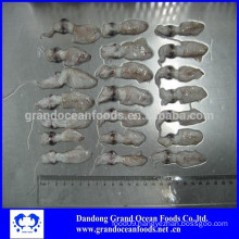 IQF loligo japonica squid